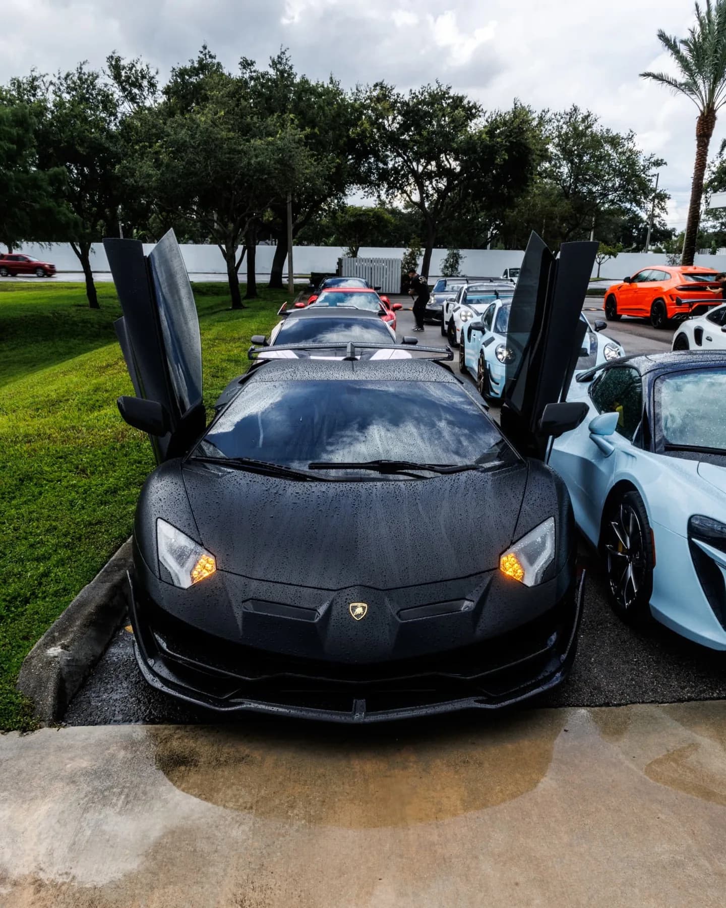 Dario's matte black Lamborghini Aventador SVJ with its doors raised leading a line of cars