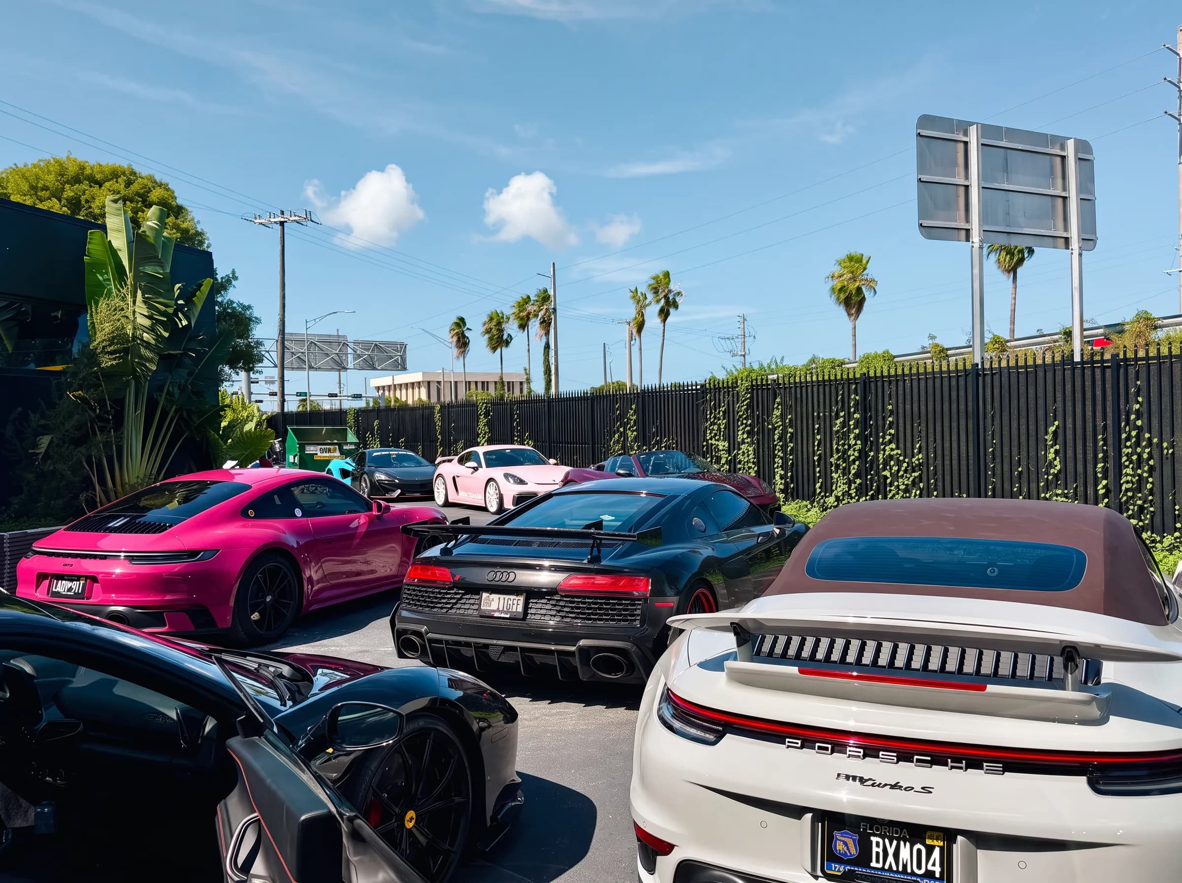 The full lineup of cars staged under palms, preparing to leave
