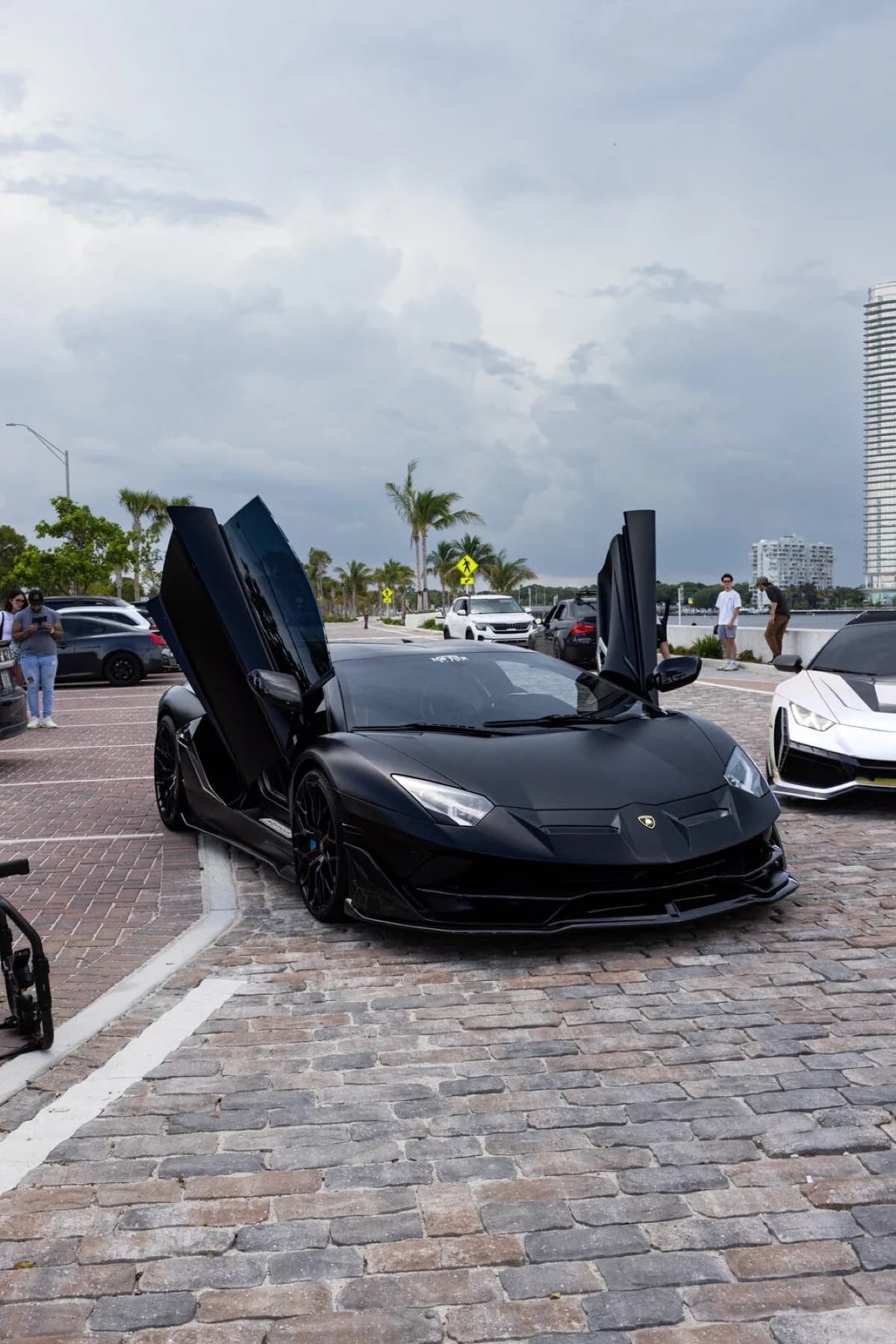 A matte black Lamborghini Aventador SVJ with doors raised, parked along the Miami waterfront